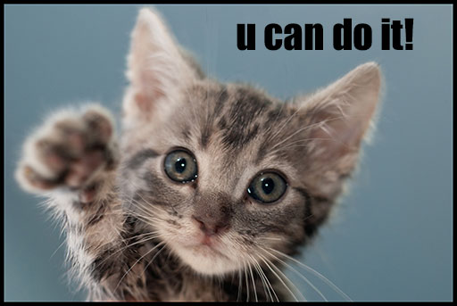 A cute kitten says: You can do it!